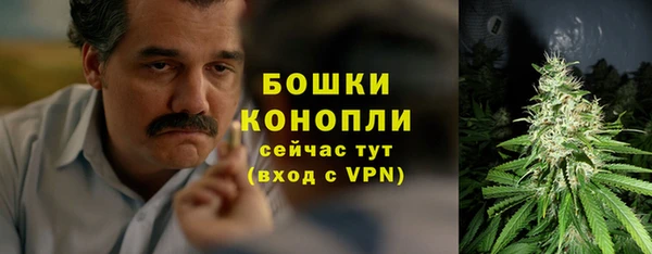 ГАЛЛЮЦИНОГЕННЫЕ ГРИБЫ Армянск