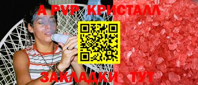 шишки Гай