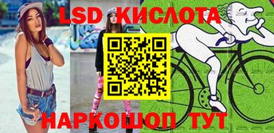 шишки Гай