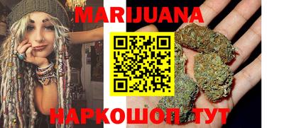 шишки Гай