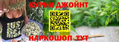 шишки Гай