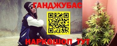 шишки Гай