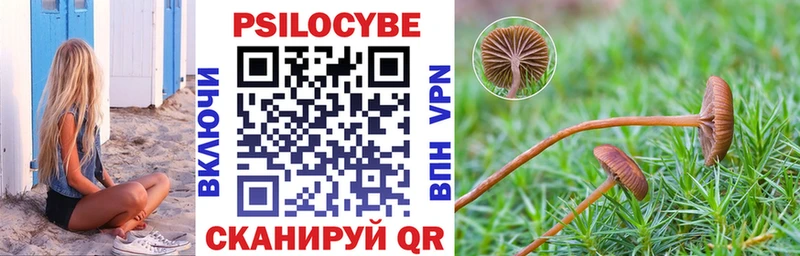 Галлюциногенные грибы Psilocybe магазин Полевской
