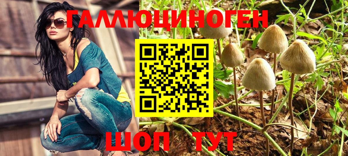 Псилоцибиновые грибы GOLDEN TEACHER Полевской